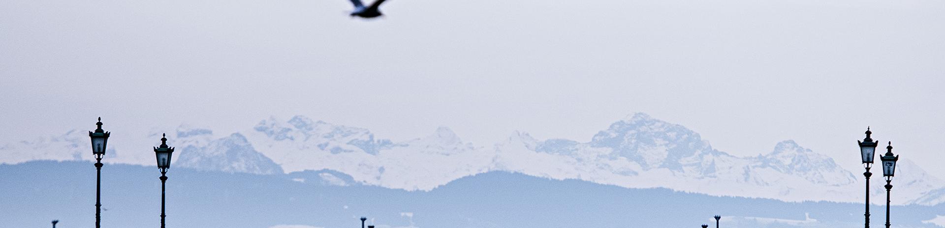 risk appetite statement