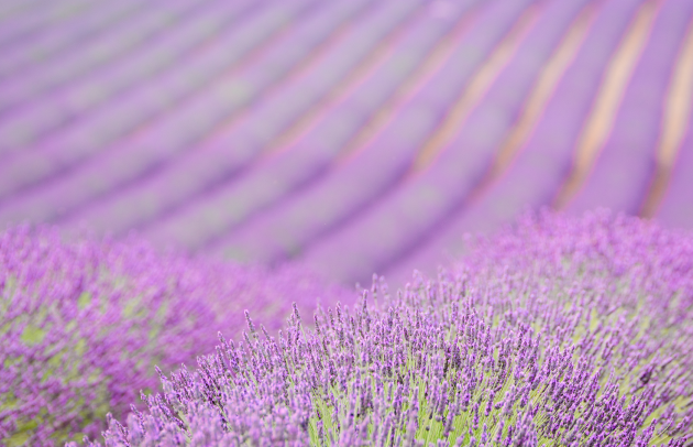 Trinity Gate Investments_Mathias Burghardt in Rencontres d'Aix