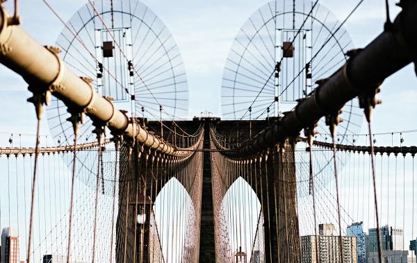 Startup-nations-header