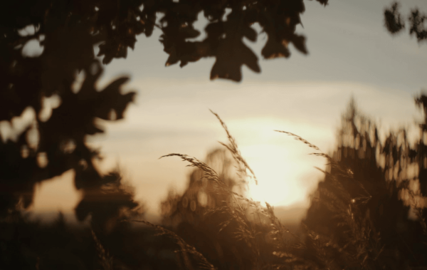  Architects-of-Ardian-header